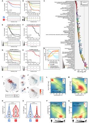 The Gradient of Immune/Inflammatory Response and COVID-19 Prognosis with Therapeutic Implications